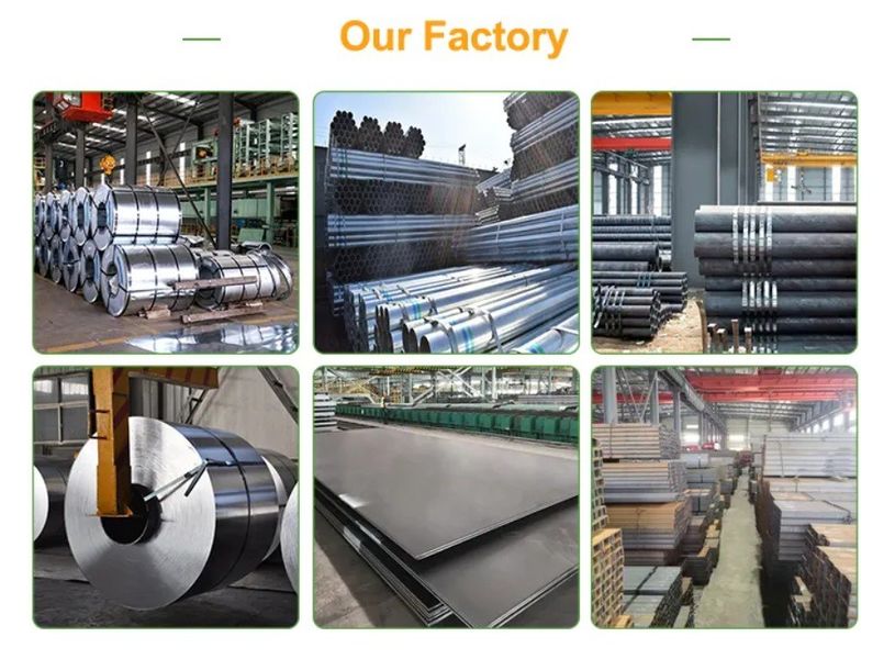 Chine Tisco Group Steel Co., Ltd Profil de la société